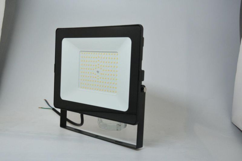 LED High Lumen Flood Light 100W High Power LED Floodlight for Outdoor/Indoor Lighting Chinese Manufacturer Cheap Price High Quality