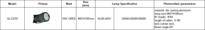 Outdoor Waterproof Adjustable Garden Light IP65 10W