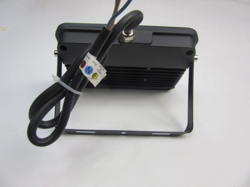 30W LED Lighting SMD Floodlight (SLFAP53--30W)