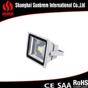 50W COB LED Spotlight LED Floodlighit