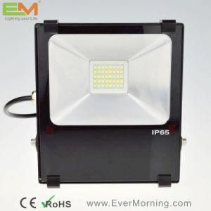 30W IP65 Waterproof High Power LED Floodlight
