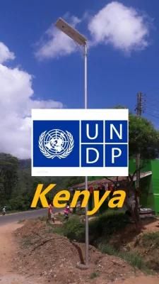 30W Undp/Unhcr/ The World Bank/Red Cross Long Term Supplier of Solar Street Light All in One Outdoor Lamp