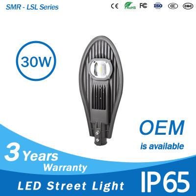 Factory Aluminum Outdoor Lamp COB Waterproof IP65 30W LED Street Light