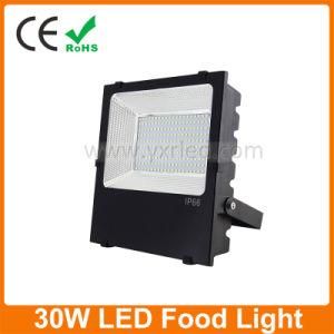 IP65 Outdoor 30W LED Flood Light