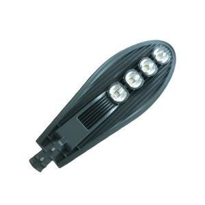 50 100 150 200W COB Garden Light LED Street Light