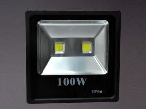 Xs LED Flood Light