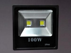 Xs LED Flood Light