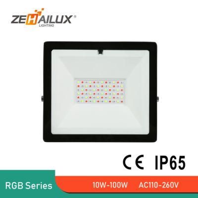 Outdoor LED RGB RGBW Projector Light Floodlight with Remote Controller