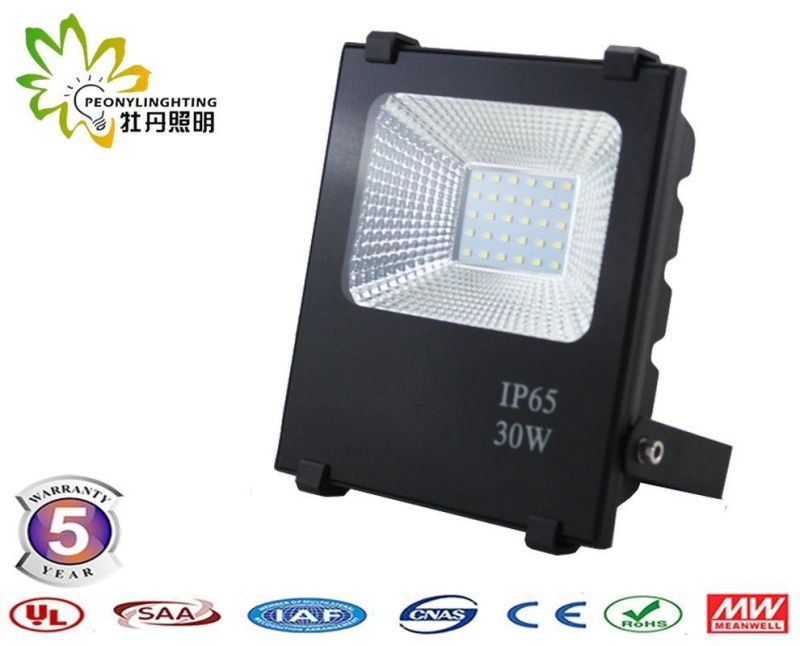 Good Quality with 5 Years Warranty 30W SMD LED Floodlights, 30W LED Floodlight