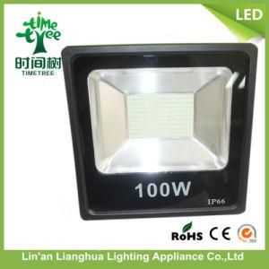 High Lumen Die Casting Aluminum 100W LED Floodlight