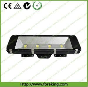 60-360W LED Tunel Light Black Shell CE/RoHS Approved Meanwell Driver