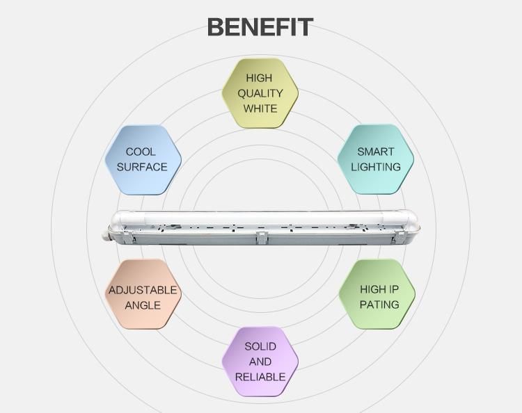 T8 IP65 Light Triproof Outdoor/Indoor Moisture Proof Lighting Fixture (LLX258B)
