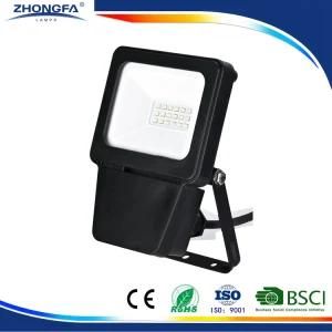 IP54 10W 800lm LED Outdoor Light