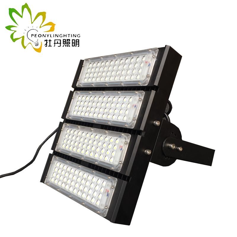 2019 High Pole Lamp 250 Watt, IP68 LED Statium Flood Lamp with 8 Years Warranty