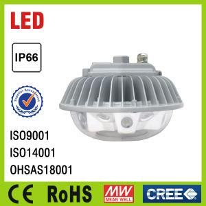 IP66 High Quality Yard Garden Fixtures Outdoor LED Floodlight