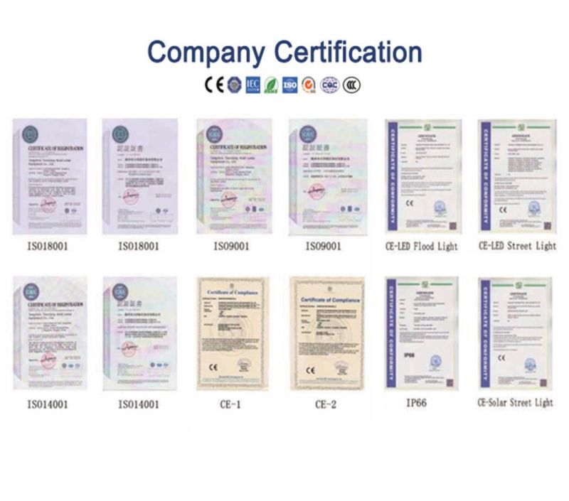 Ce RoHS CCC ISO Certification IP65/66 Warranty 5/7 Years 6m30W 8m60W 10m100W 12m120W LED Street Light
