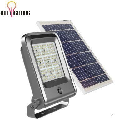 Dusk Till Dawn Smart Solar Induction LED Street Light with Solar Panel for Sale