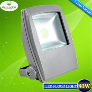 CE RoHS IP65 Epistar Chips 80W LED Flood Lightlike