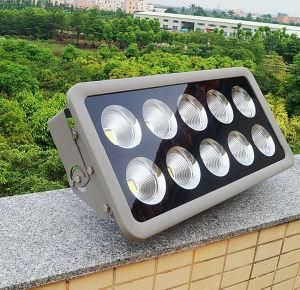 Made in China 200W COB Outdoor Light Aluminum Housing