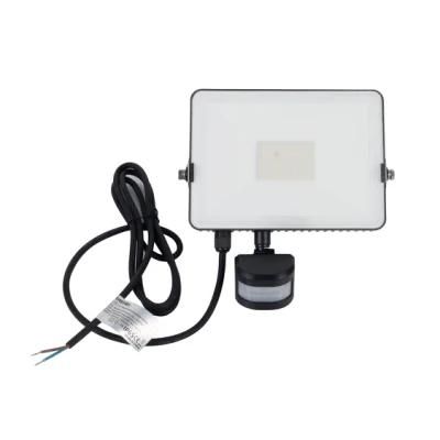 Outdoor/Indoor Lighting 30W Waterproof Flood Lamp SMD/COB LED Floodlight with PIR Sensor