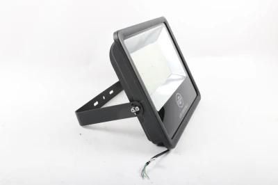 IP65 CE Cheap 100W LED Flood Light Bulbs Outdoor