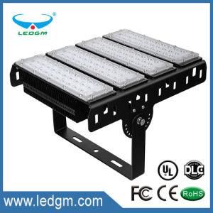 Aluminum Module Lighting 400W 300W 200W 150W 100W 50 Watts Dimmable LED Tunnel Flood Light