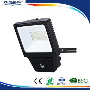 CE RoHS GS 50W IP LED Outdoor Lamp