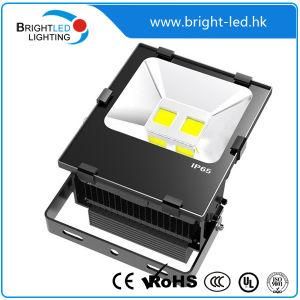 Outdoor LED Flood Lighting with Ce&RoHS 100W