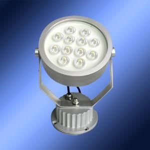 12W LED Flood Light (CH-D3Y-1WX-12-A3)