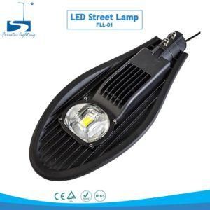 Factory Price 30W- 200W LED Lamp Street Lighting with Bridgelux Chip Meanwell Driver