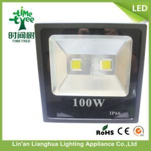 Outdoor 100W High Power High Lumen LED Projector LED Flood Light
