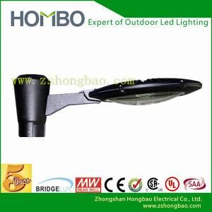 Professional Quality 50W LED Garden Light Outdoor Light (HB035-03)