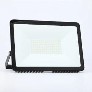 IP66 LED Flood Light 100W