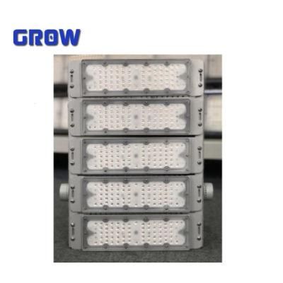 250W High Power LED Floodlight for Outdoor Lighting