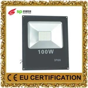 LED Floodlight for Outdoor with Lighting Light Ce (IP66)
