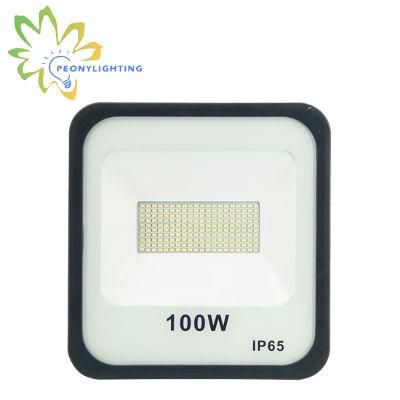 100W LED Flood Light with 110lm/W SMD Chips Floodlight