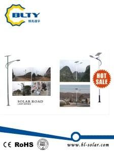 High Lumen 30W Solar Street Light with 6m Pole