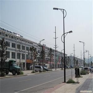 8m 60W LED Street Light with Ce, ISO9001 Approved (JINSHANG SOLAR)