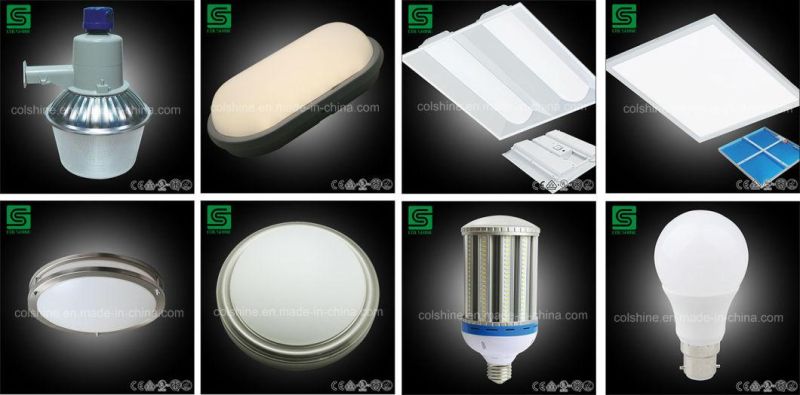 Outdoor IP65 LED Street Light with High Power