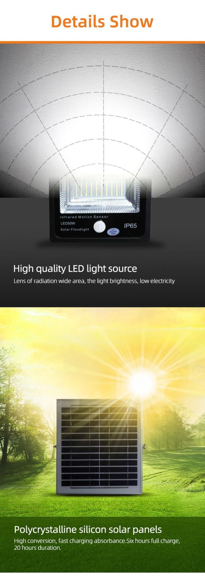 High Quality 100W COB 30W Camera Solar Flood Lamp for Mini Stand Flood Light