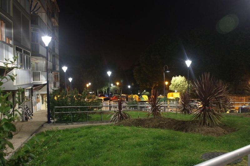 Peonylighting Modern IP65 Aluminum Outdoor Grey LED Post Top Light Waterproof 55W LED Garden Lamp