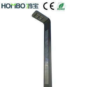 LED Garden Light (HB-028-01-40W/60W)