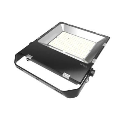 Slim Floodlight 200W 150W 100W 80W 50W 30W 20W 10W Driverless Outdoor LED Flood Light