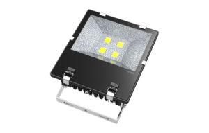 240V IP65 SAA 50W Tennis Court RGB LED Floodlight (Hz-SDD50W)