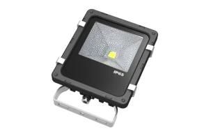 CREE/Bridgelux 10W LED RGB Flood Light (Hz-SDD10W)