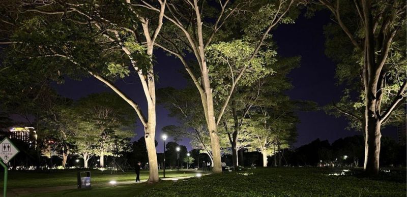 LED High Mast Light 1000W High Power LED SMD Floodlight 5000K Superior Lighting Uniformity Flood Lights 150000 Lumen IP66 LED Outdoor Flood Light 100-277V 50Hz