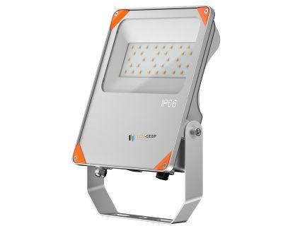 LCD Fk Series Spot 30-200W LED Asymmetric Floodlight Slimline AC LED Floodlight (IP66)