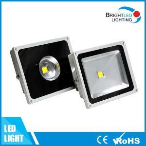 30W 50W Ce RoHS IP65 High Power LED Floodlight