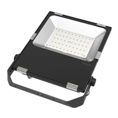 100W Driverless LED Flood Light with Ce Certification