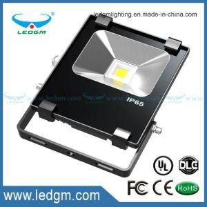 Die Cast Aluminum Housing 10W LED Flood Light IP65 COB/SMD Projector Floodlight